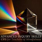 ADVANCED INQUIRY SKILLS -