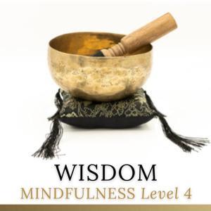 MINDFULNESS LEVEL FOUR WISDOM