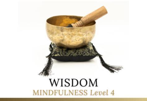 MINDFULNESS LEVEL FOUR WISDOM