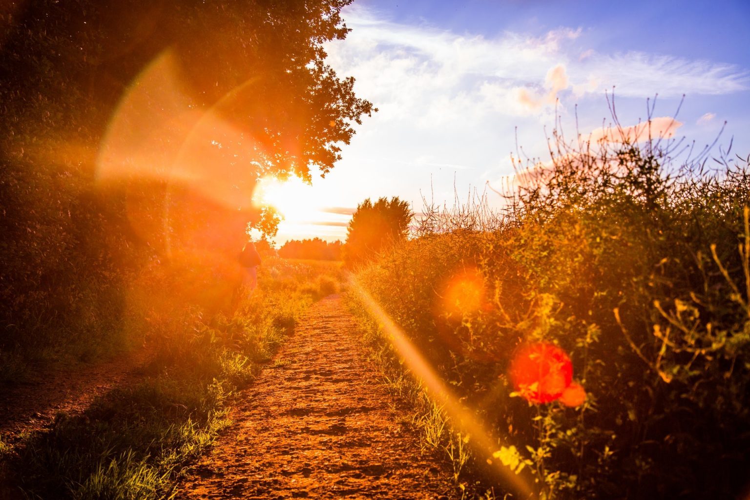 this-morning-i-pray-for-my-enemies-joy-harjo-mindfulness-association