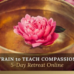 train to teach compassion online new