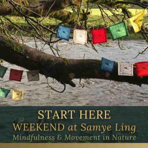 Mindfulness and movement in nature