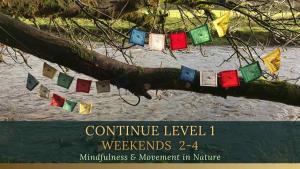 continue mindfulness and movement in nature