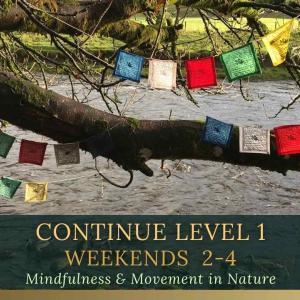 continue mindfulness and movement in nature