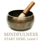 NEW MINDFULNESS LEVEL 1