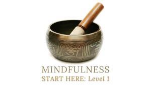 NEW MINDFULNESS LEVEL 1