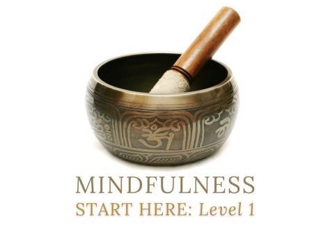 NEW MINDFULNESS LEVEL 1