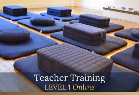 TRAIN TO TEACH – LEVEL 1 ONLINE