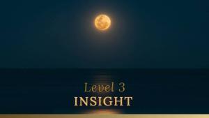 mindfulness level 3 insight