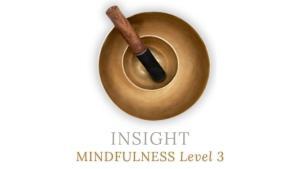 INSIGHT MINDFULNESS LEVEL 3