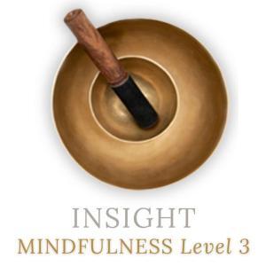 INSIGHT MINDFULNESS LEVEL 3