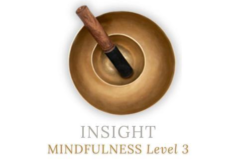 INSIGHT MINDFULNESS LEVEL 3