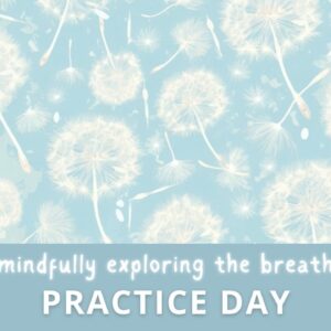 mindfully exploring the breath practice day